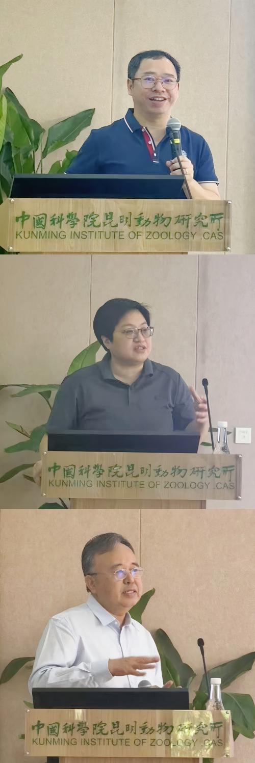 电子游戏app下载安装