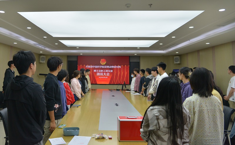 电子游戏app下载安装