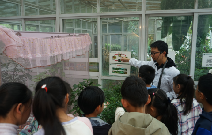 电子游戏app下载安装