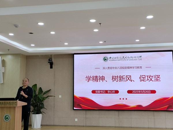 电子游戏app下载安装