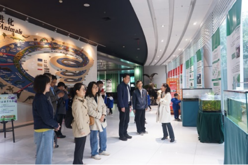 电子游戏app下载安装