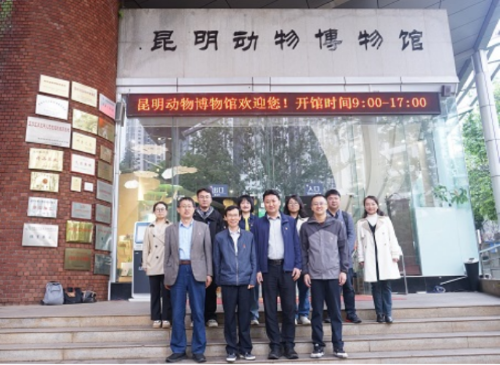 电子游戏app下载安装