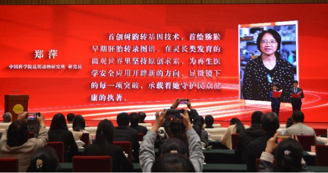 电子游戏app下载安装