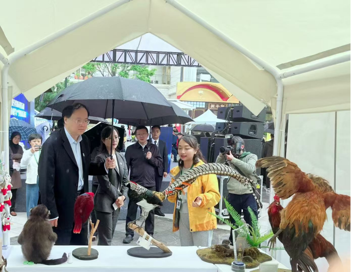 电子游戏app下载安装