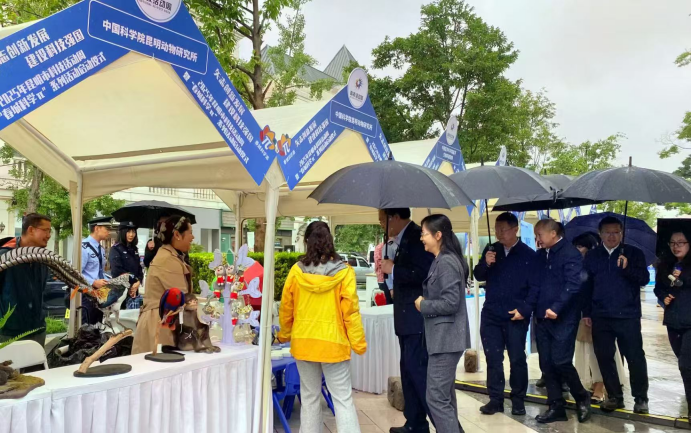 电子游戏app下载安装