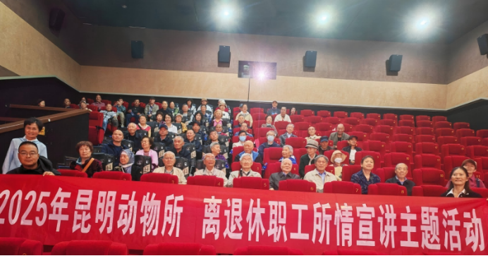 电子游戏app下载安装