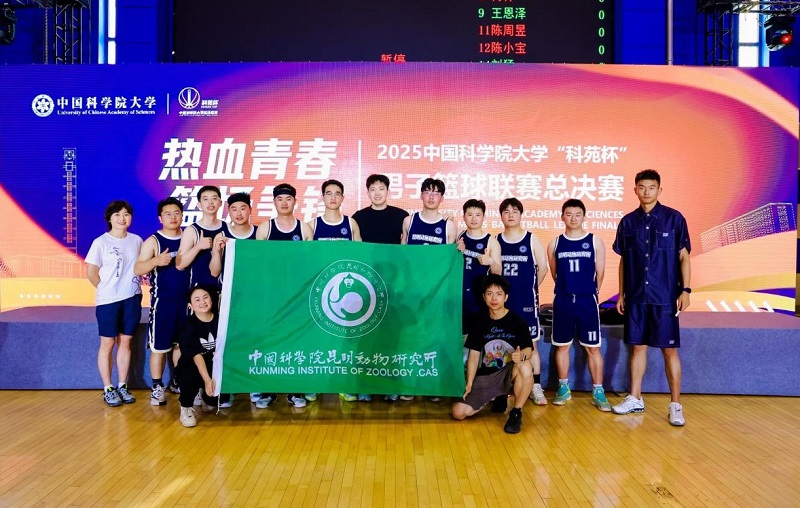 电子游戏app下载安装