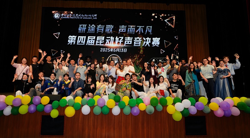 电子游戏app下载安装