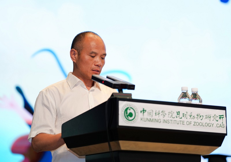 电子游戏app下载安装