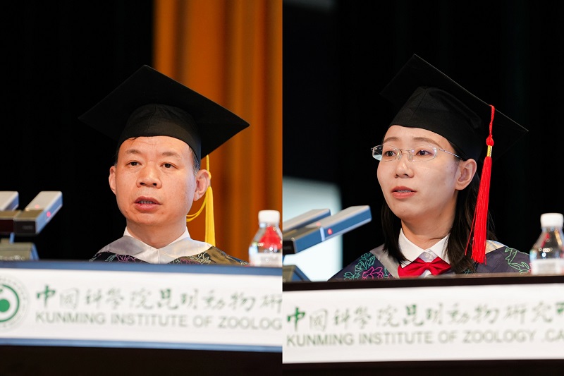 电子游戏app下载安装