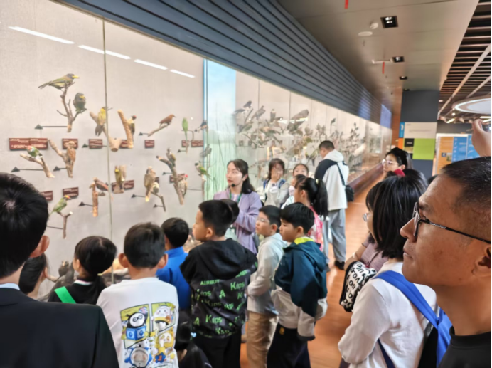 电子游戏app下载安装