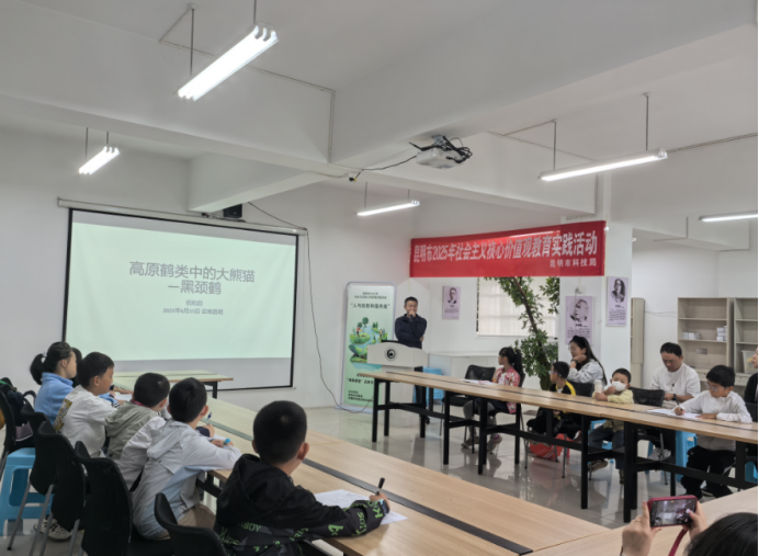 电子游戏app下载安装