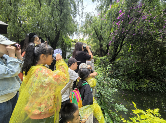 电子游戏app下载安装