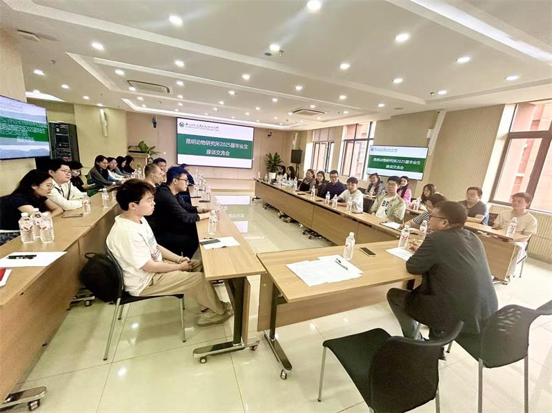 电子游戏app下载安装