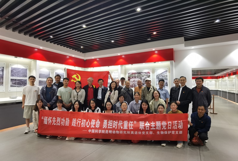 电子游戏app下载安装