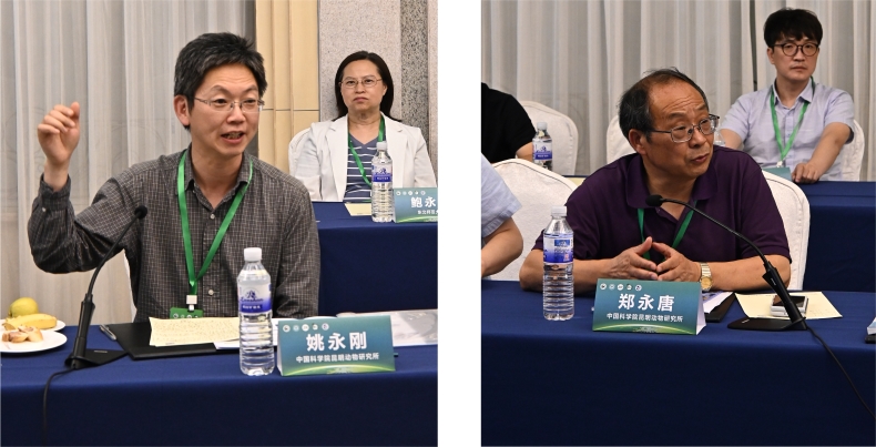 电子游戏app下载安装