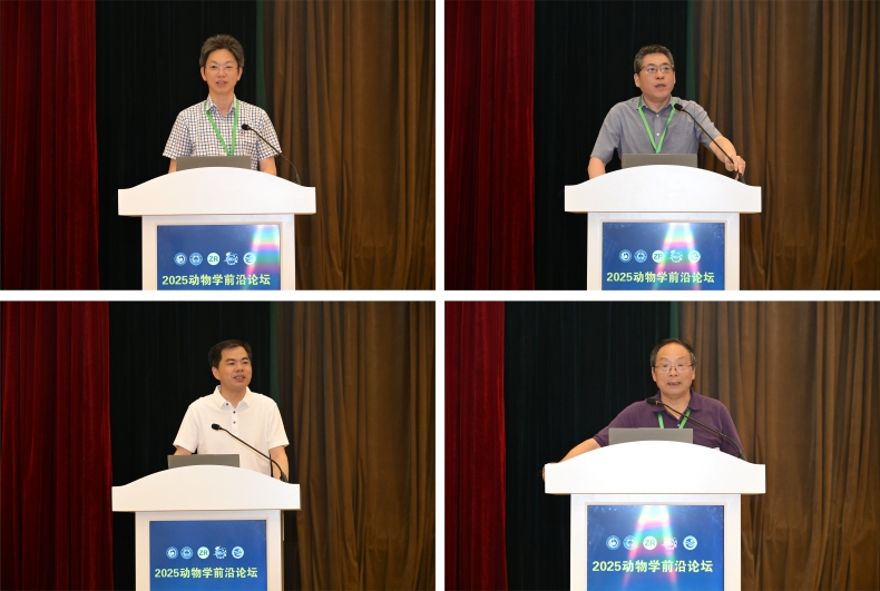 电子游戏app下载安装