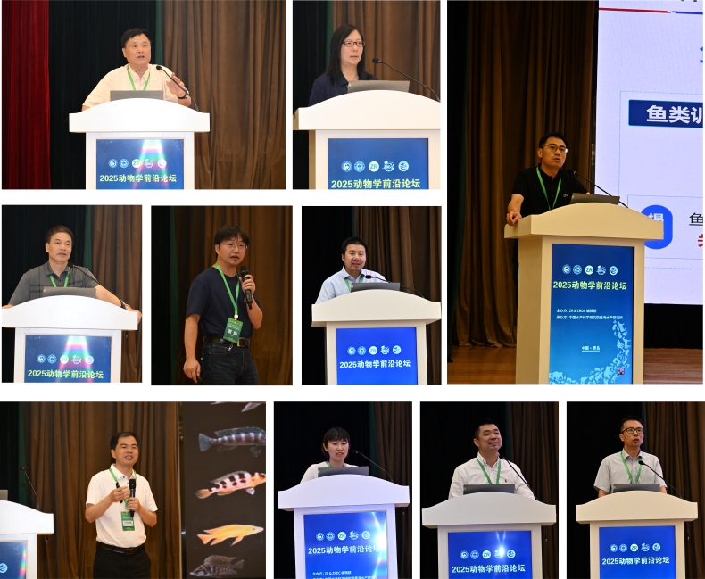 电子游戏app下载安装