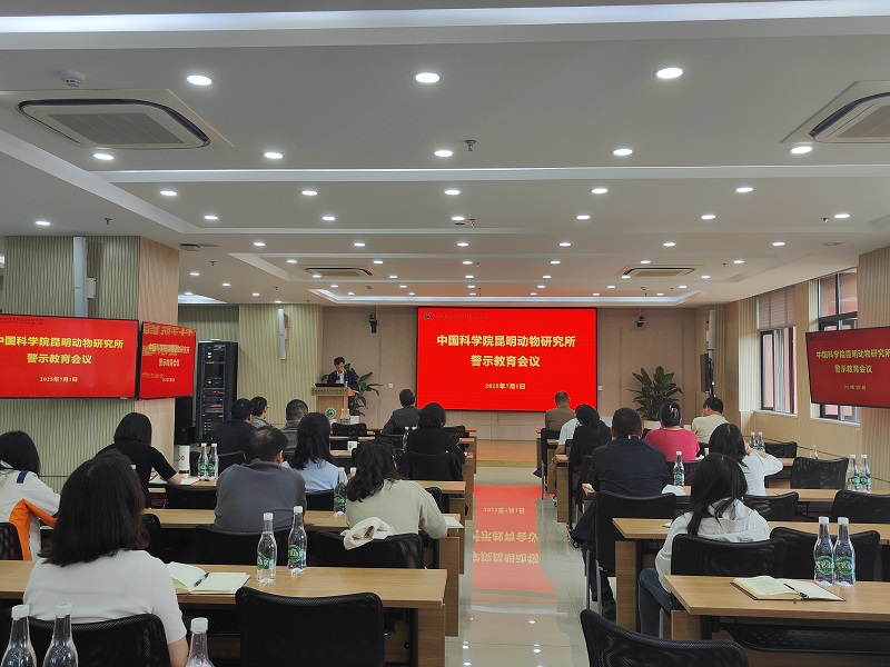 电子游戏app下载安装