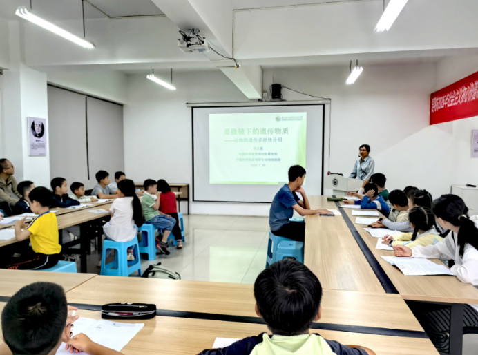 电子游戏app下载安装