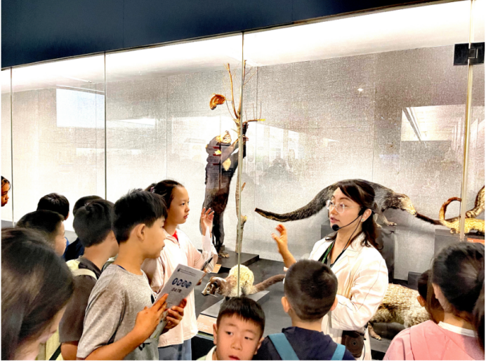 电子游戏app下载安装