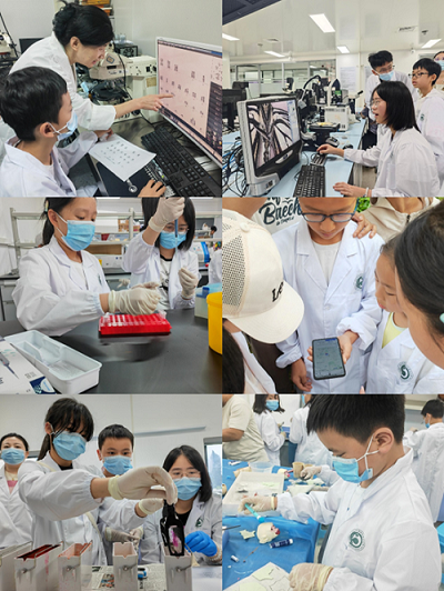 电子游戏app下载安装