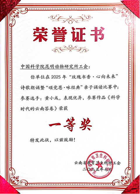 电子游戏app下载安装