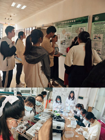 电子游戏app下载安装