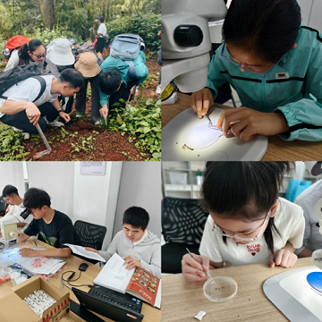 电子游戏app下载安装