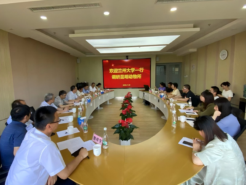 电子游戏app下载安装