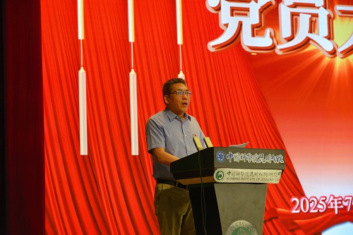 电子游戏app下载安装