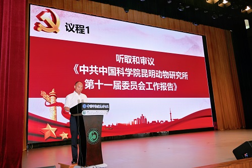 电子游戏app下载安装