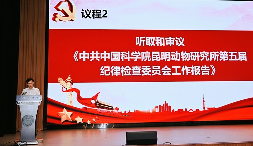 电子游戏app下载安装