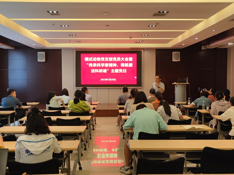 电子游戏app下载安装