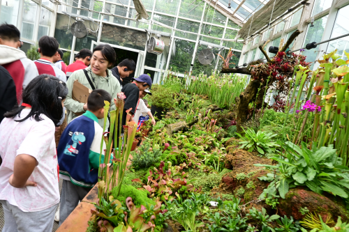 电子游戏app下载安装