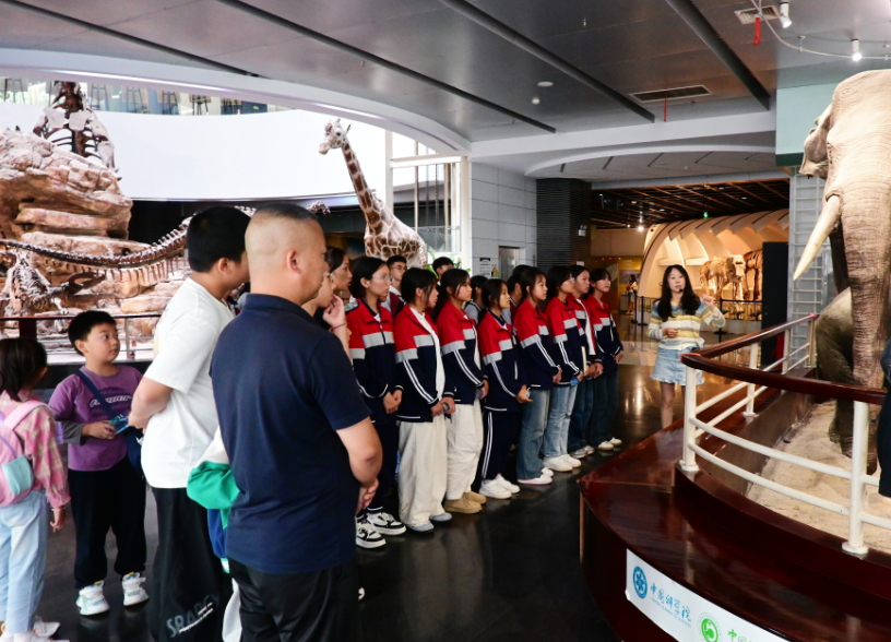 电子游戏app下载安装