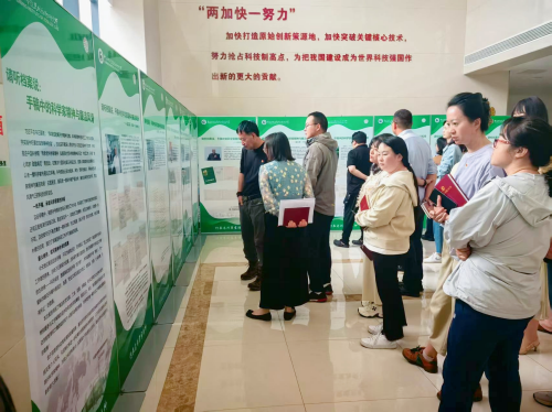 电子游戏app下载安装