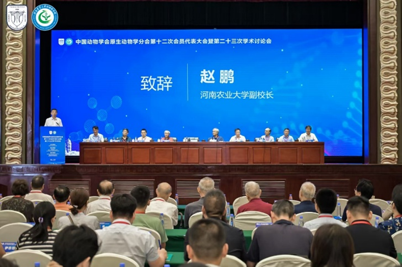 电子游戏app下载安装