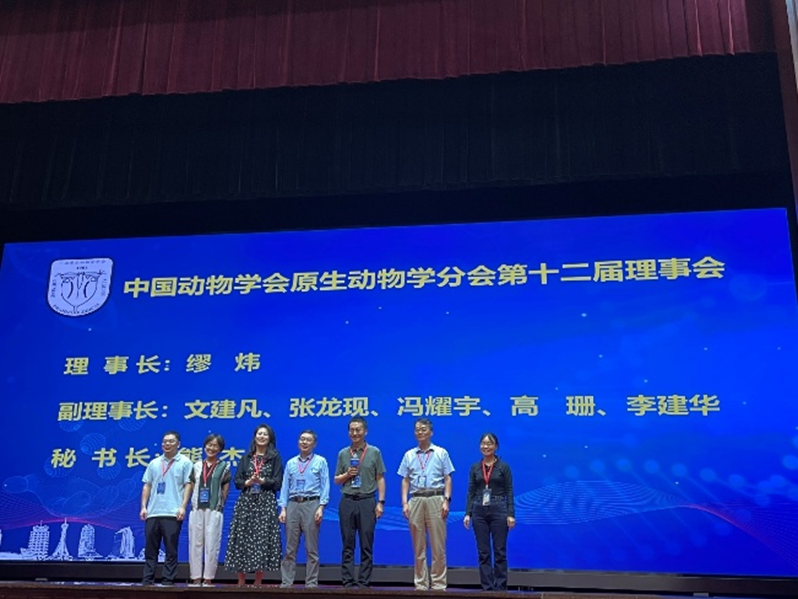 电子游戏app下载安装