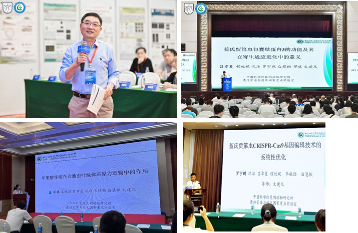 电子游戏app下载安装