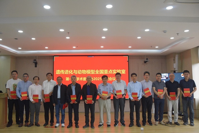 电子游戏app下载安装