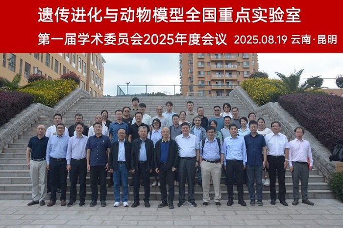 电子游戏app下载安装