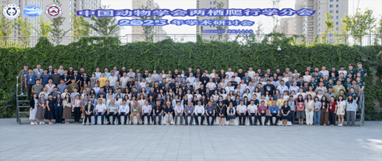 电子游戏app下载安装