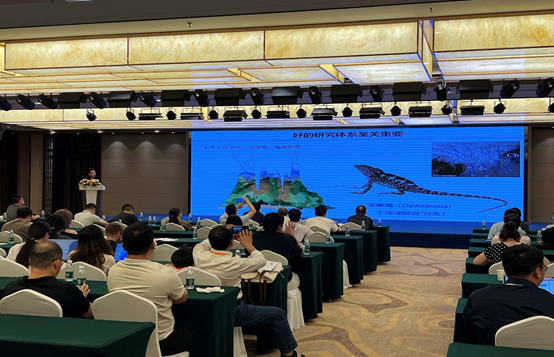 电子游戏app下载安装