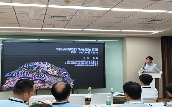 电子游戏app下载安装