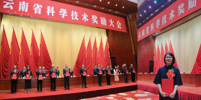 电子游戏app下载安装