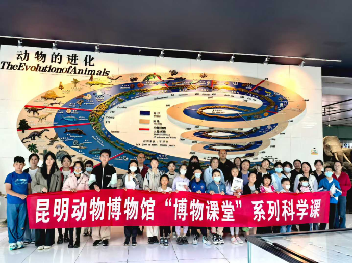 电子游戏app下载安装