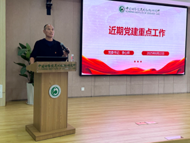 电子游戏app下载安装