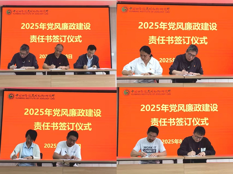 电子游戏app下载安装