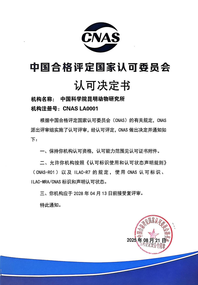 电子游戏app下载安装